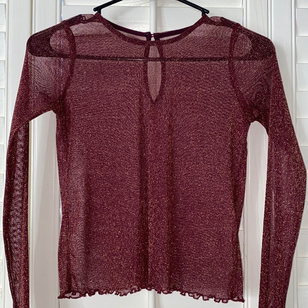 Burgundy Glitter Mesh Hollister Top